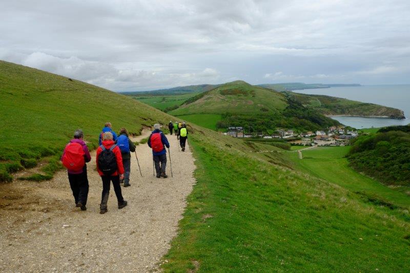 {short description of image}