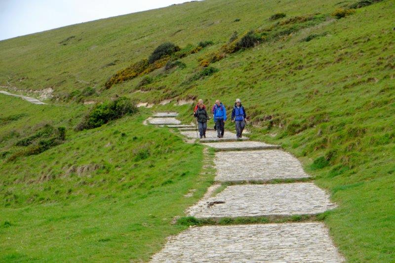 {short description of image}