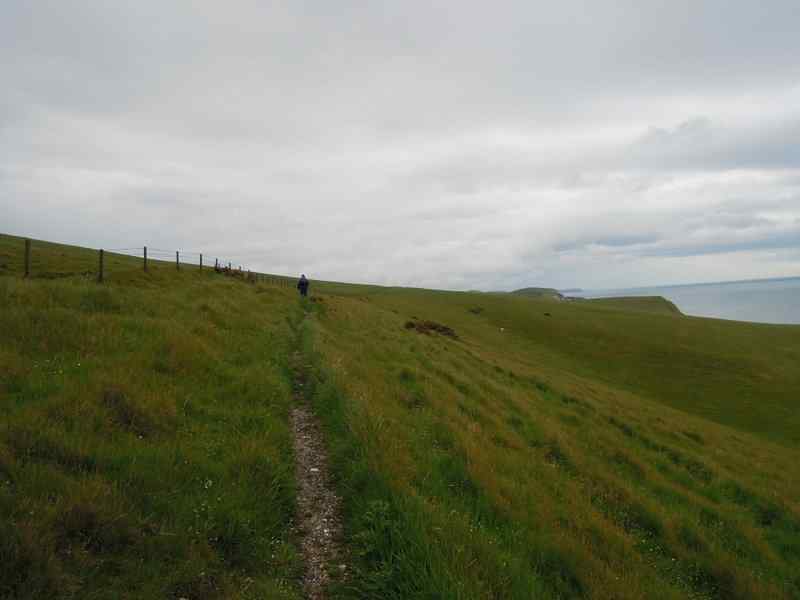 {short description of image}