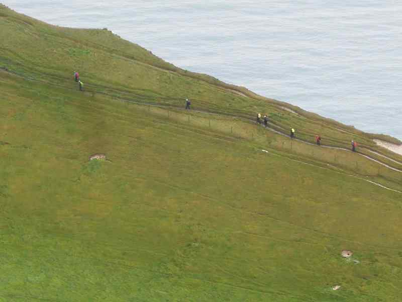 {short description of image}