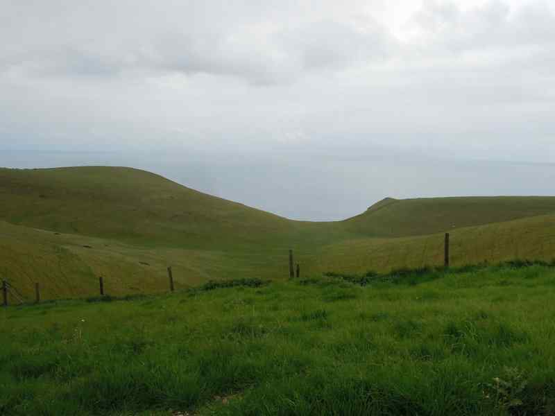 {short description of image}