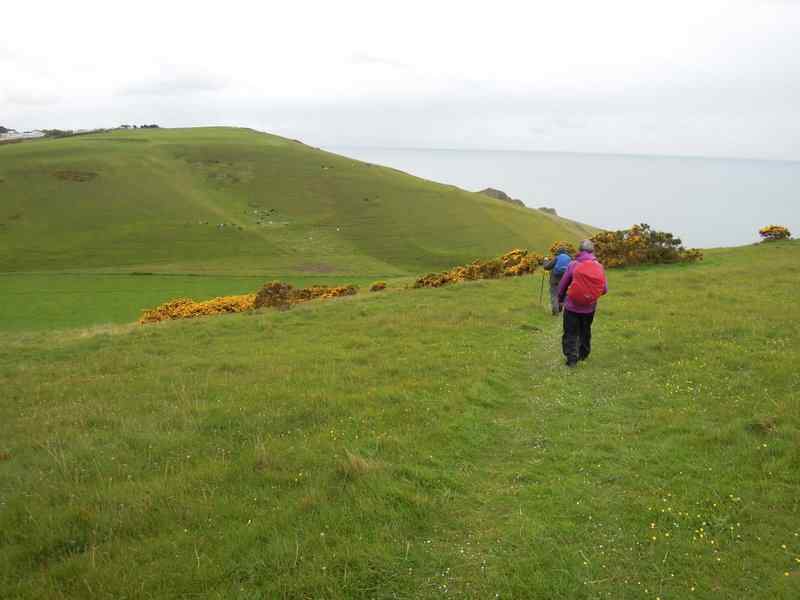 {short description of image}