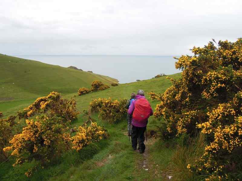 {short description of image}