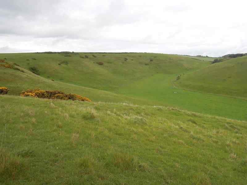 {short description of image}