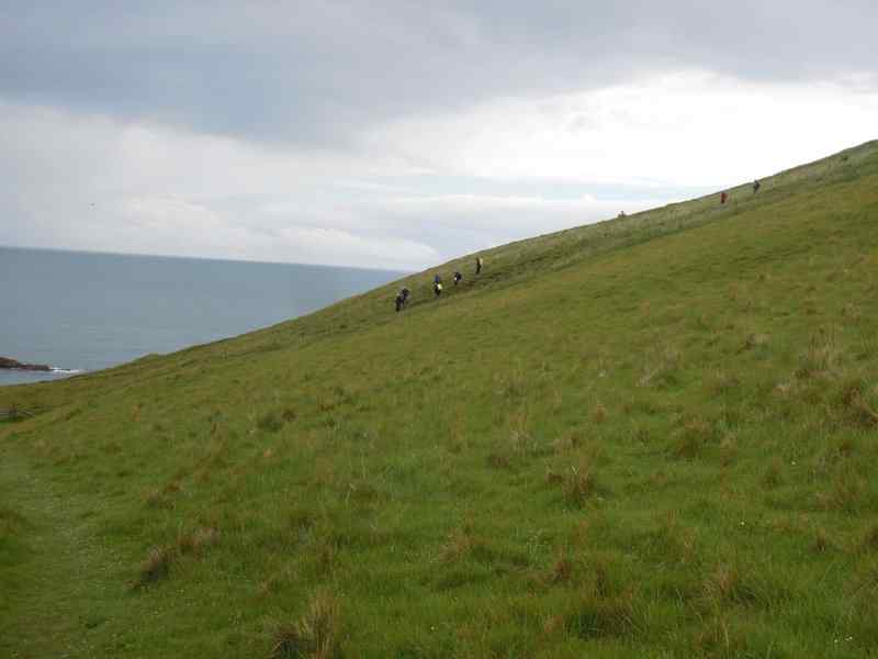 {short description of image}