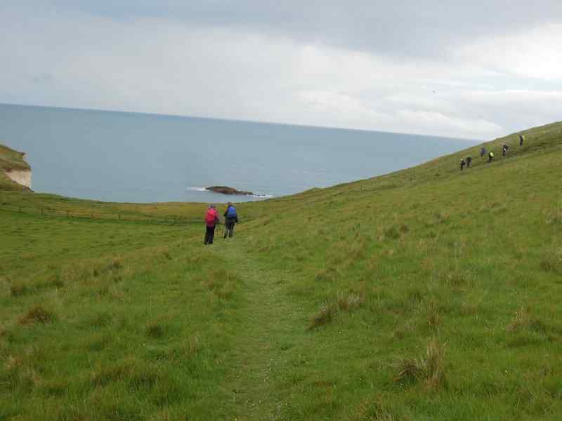 {short description of image}