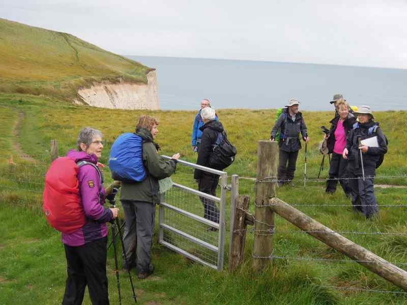 {short description of image}