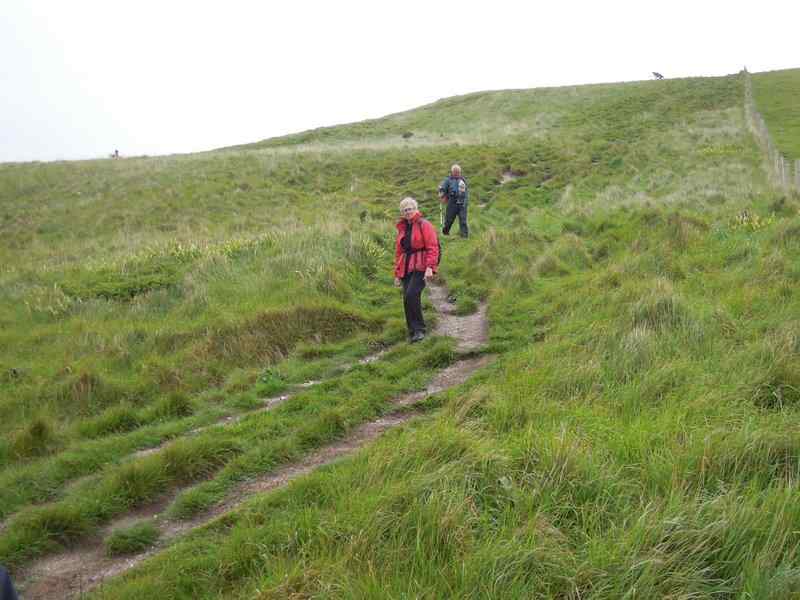 {short description of image}