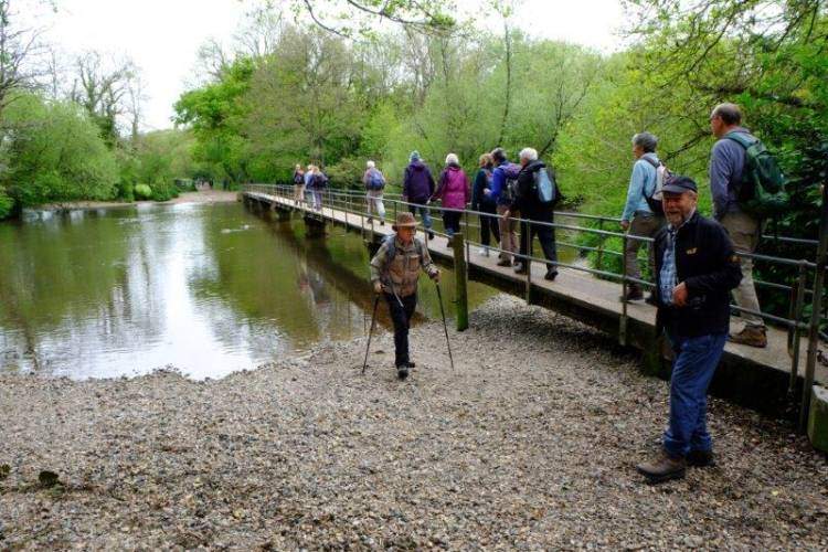 {short description of image}