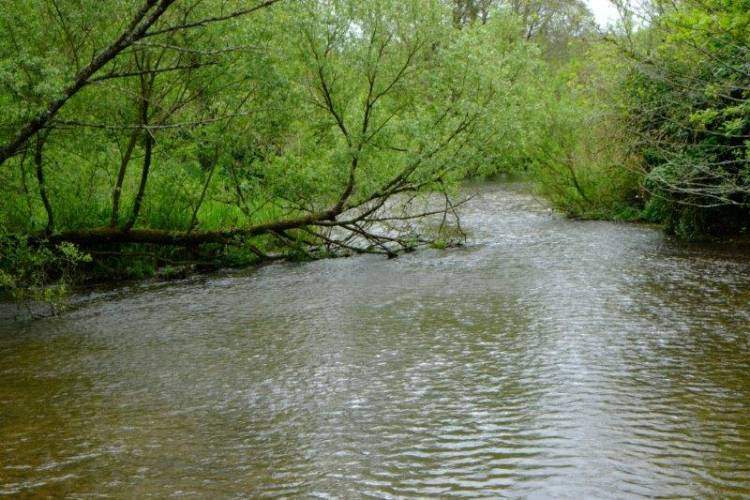 {short description of image}