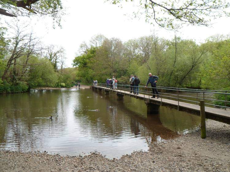 {short description of image}