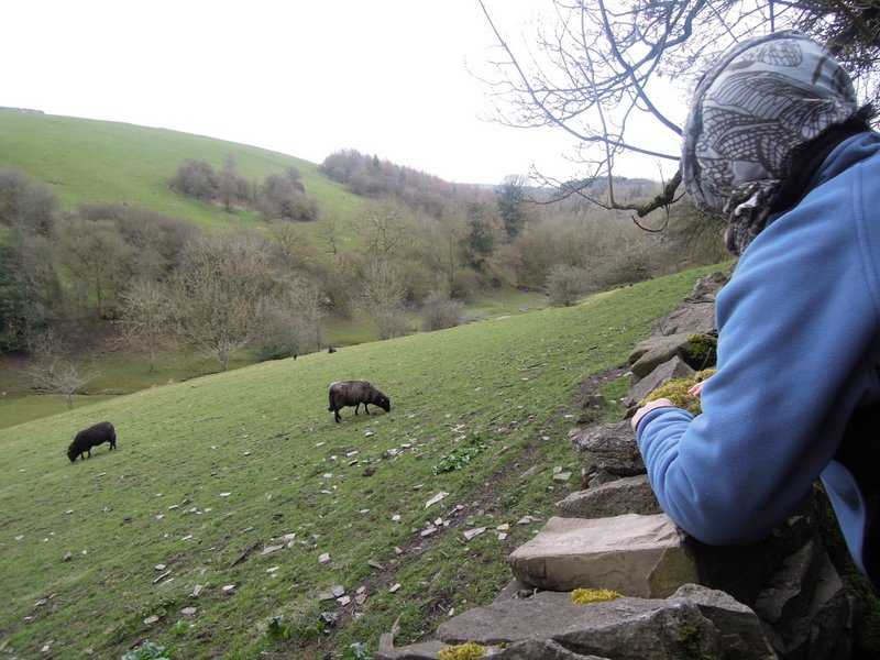 {short description of image}