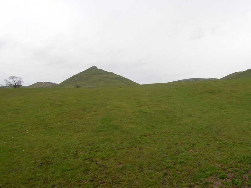 {short description of image}