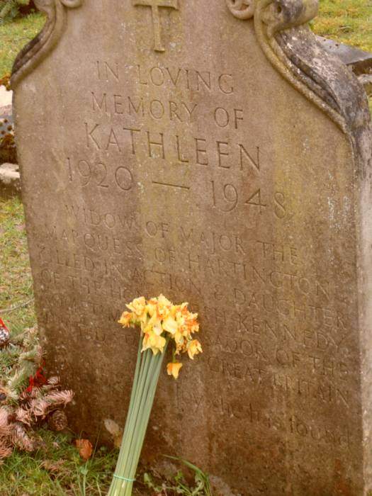 {short description of image}