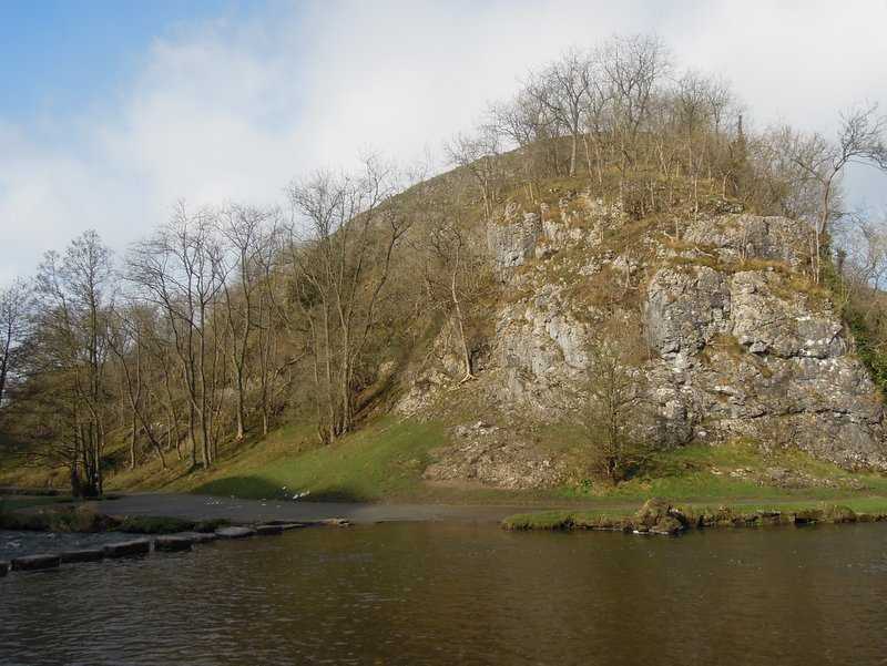 {short description of image}