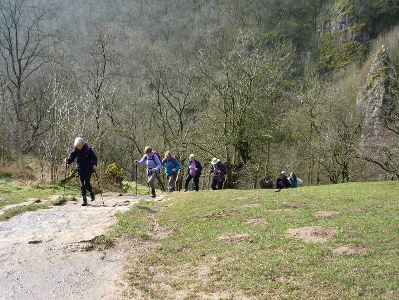 {short description of image}