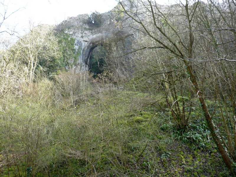 {short description of image}