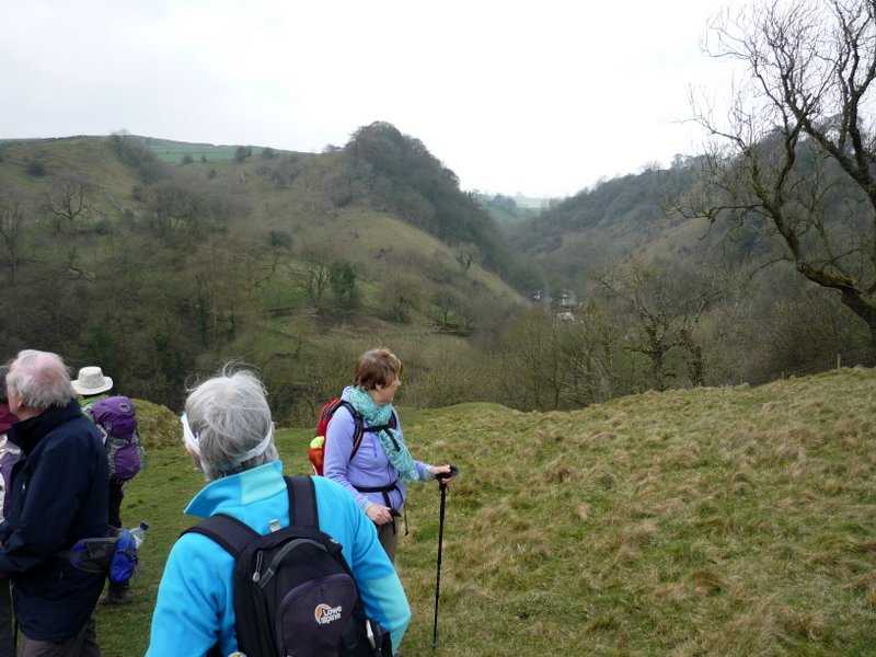 {short description of image}