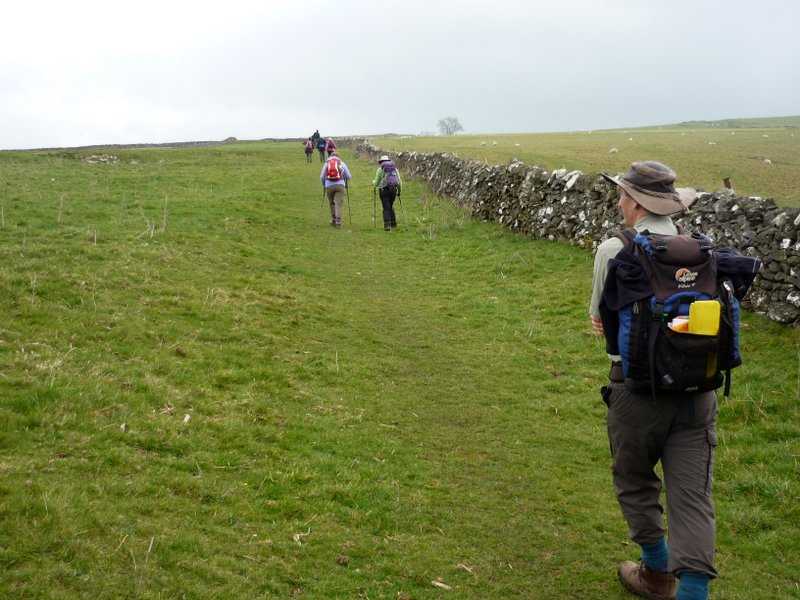 {short description of image}