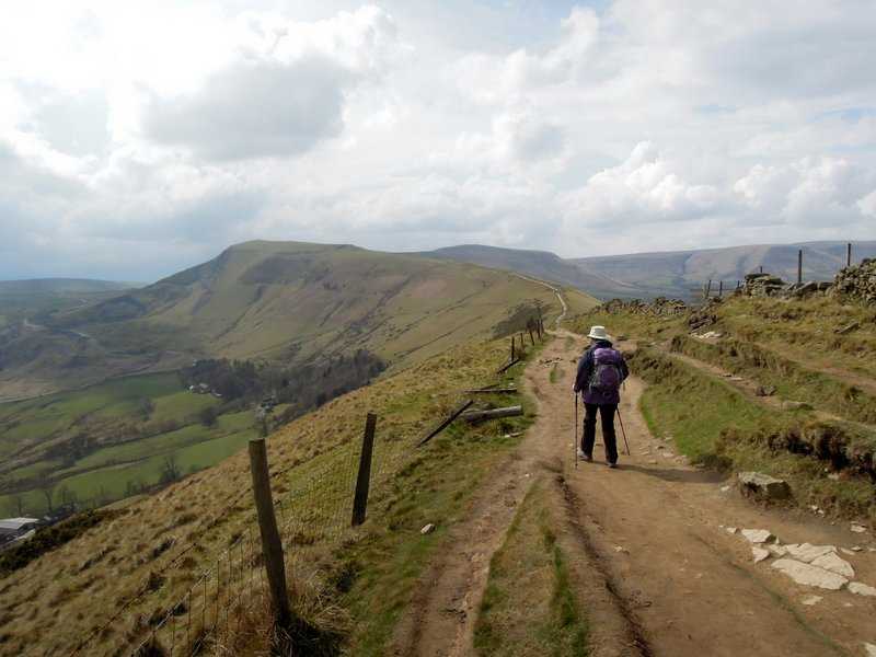 {short description of image}