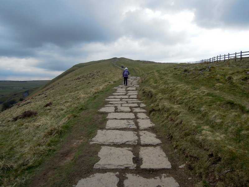 {short description of image}