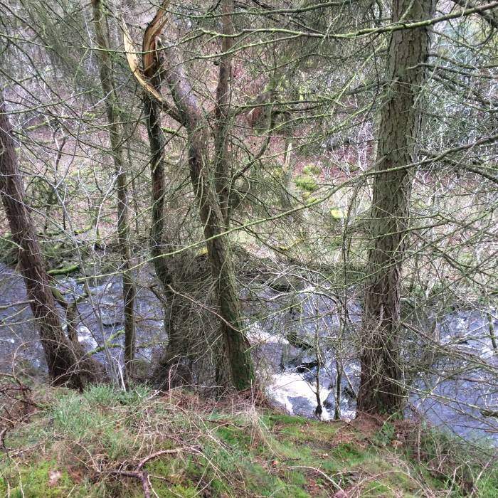 {short description of image}