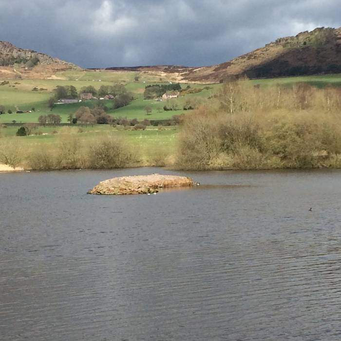 {short description of image}