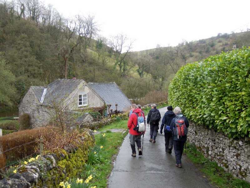 {short description of image}