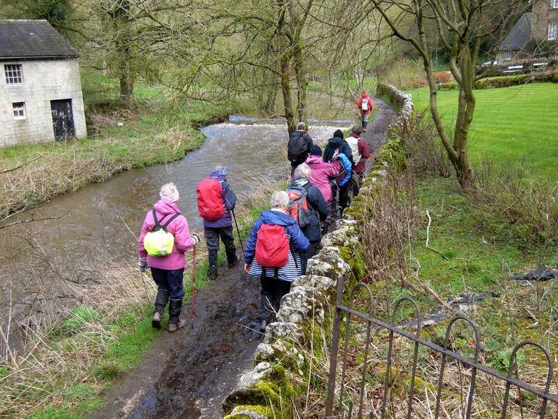 {short description of image}