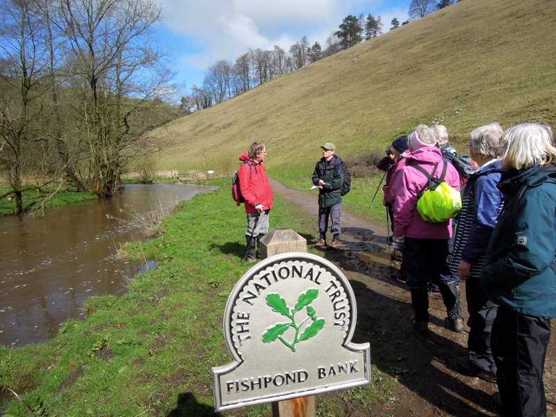 {short description of image}