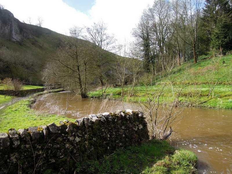 {short description of image}