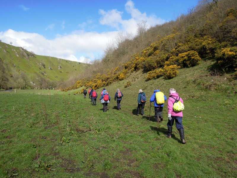 {short description of image}