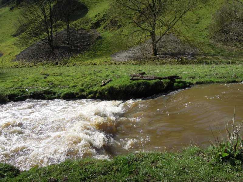 {short description of image}