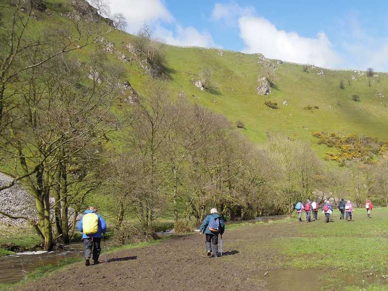 {short description of image}