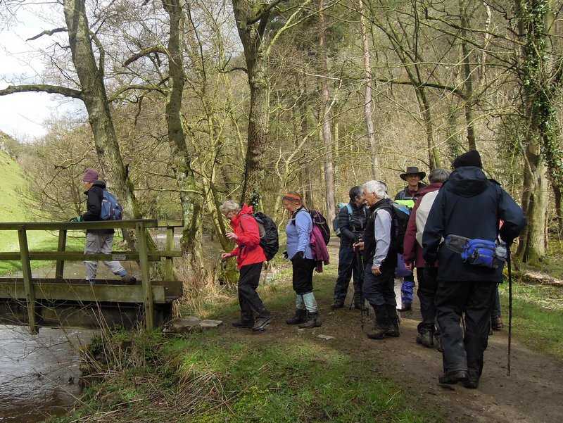 {short description of image}