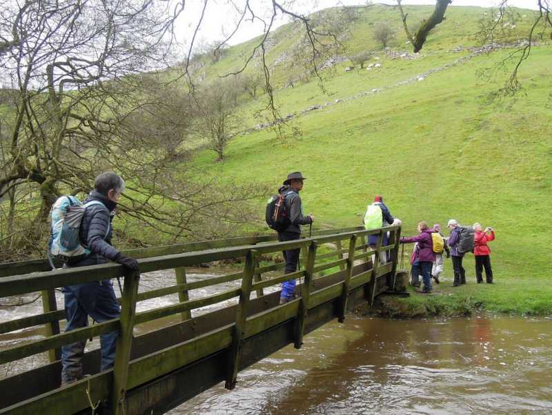 {short description of image}