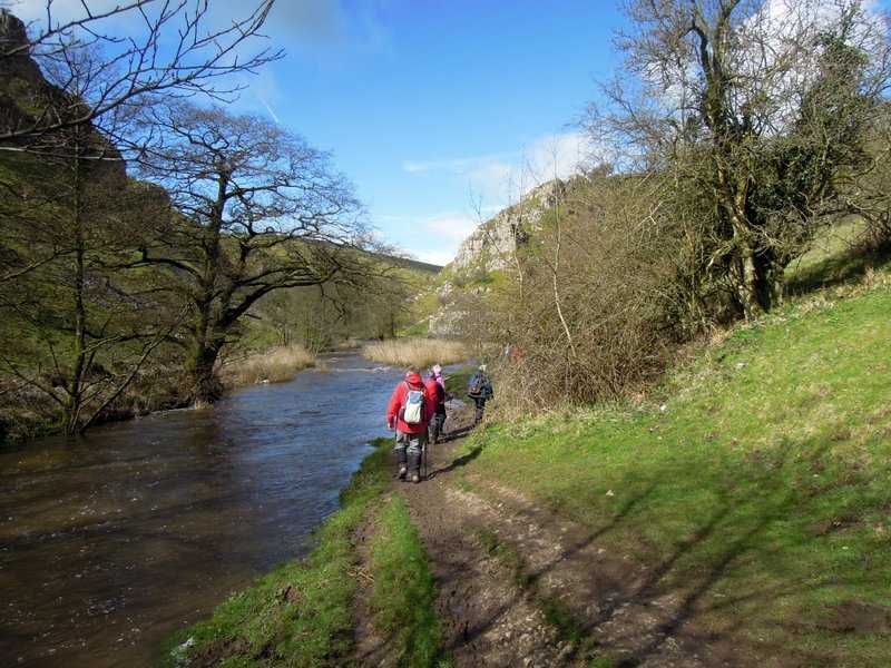 {short description of image}