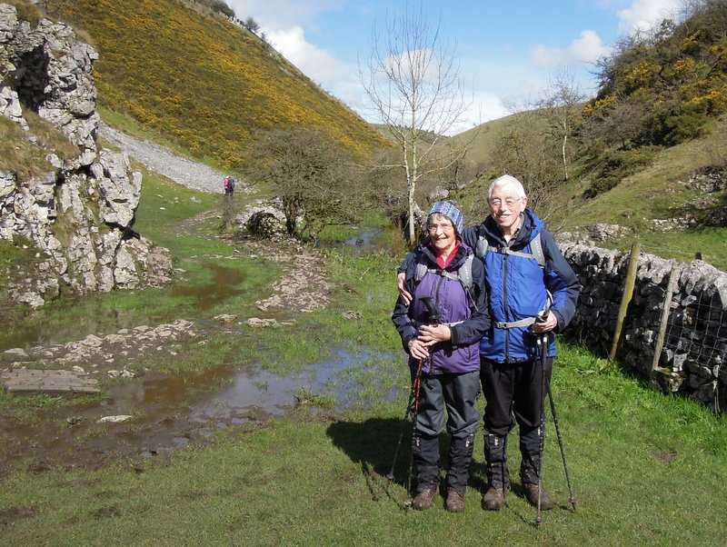 {short description of image}