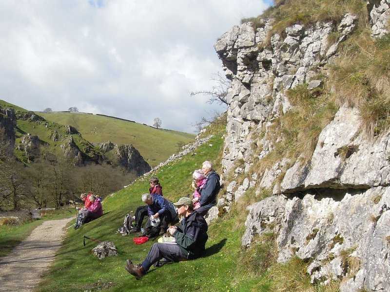 {short description of image}