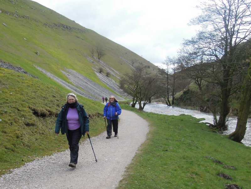 {short description of image}