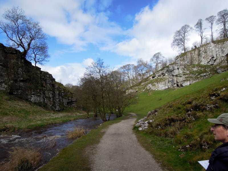 {short description of image}