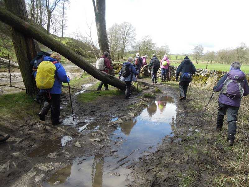 {short description of image}