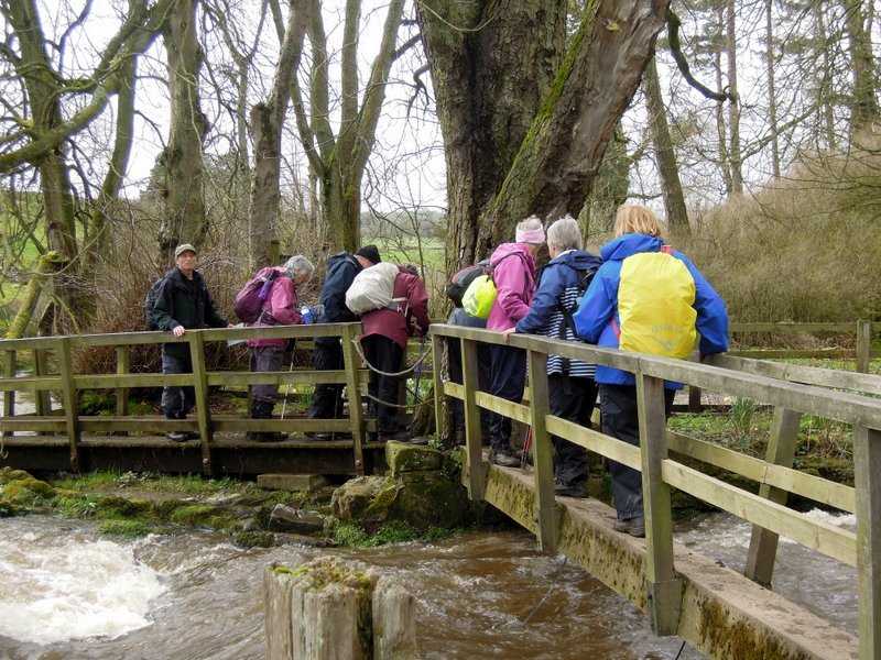 {short description of image}