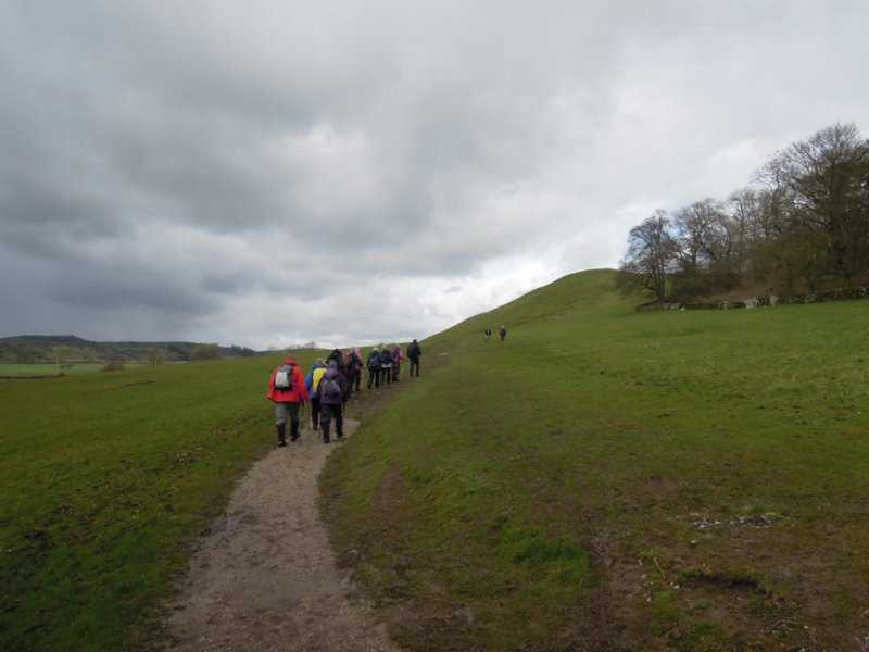 {short description of image}