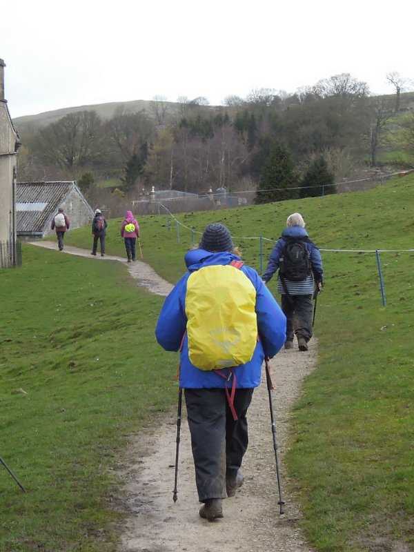 {short description of image}