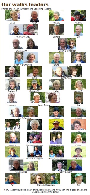 Meet our leaders
