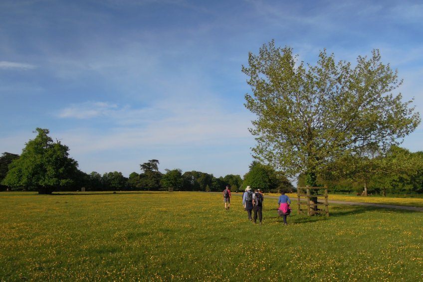 Ozleworth A sunny evening walk from Ozleworth