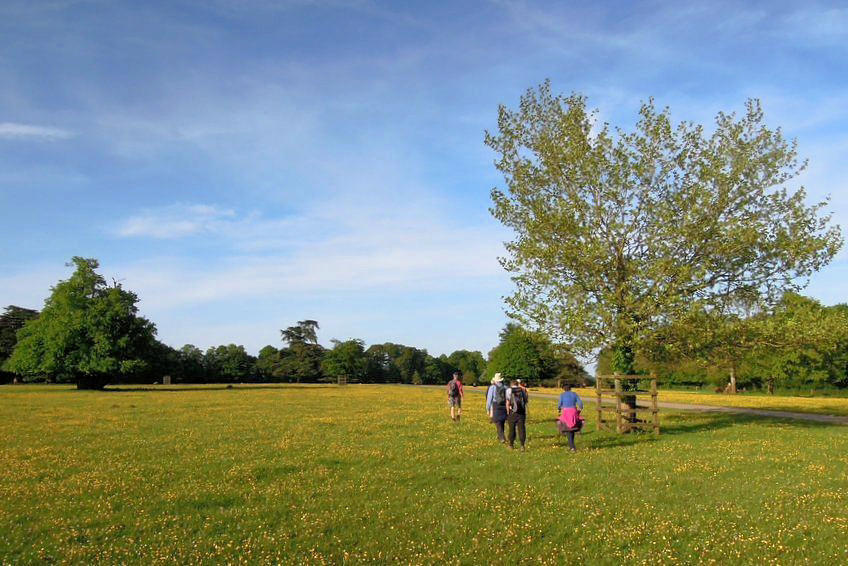 Image1 A sunny evening walk from Ozleworth