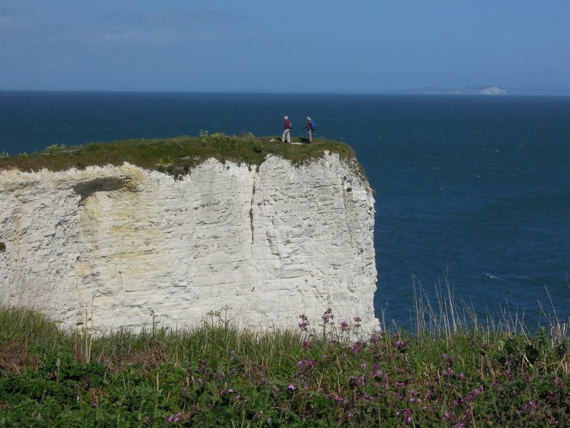 {short description of image}