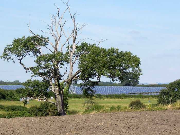 A solar farm catches the eye